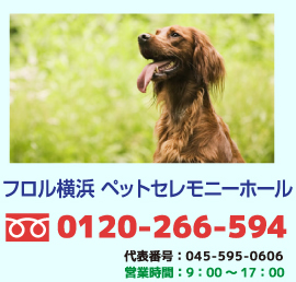 フリーダイヤル0120-266-594